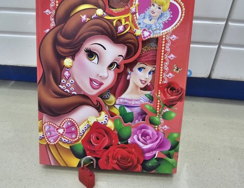 DISNEY THEMED FEATURING PRINCES FANCY GIRLS LOCKABLE DIARIES