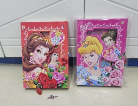 SMALL DISNEY THEMED FEATURING PRINCES FANCY GIRLS LOCKABLE DIARIES